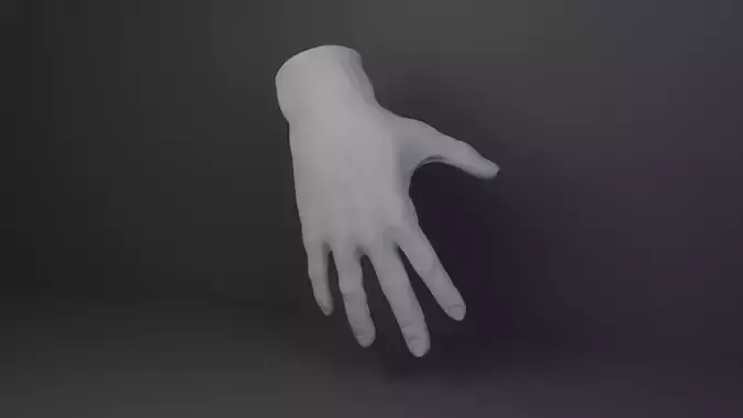 Stylized Male Hand