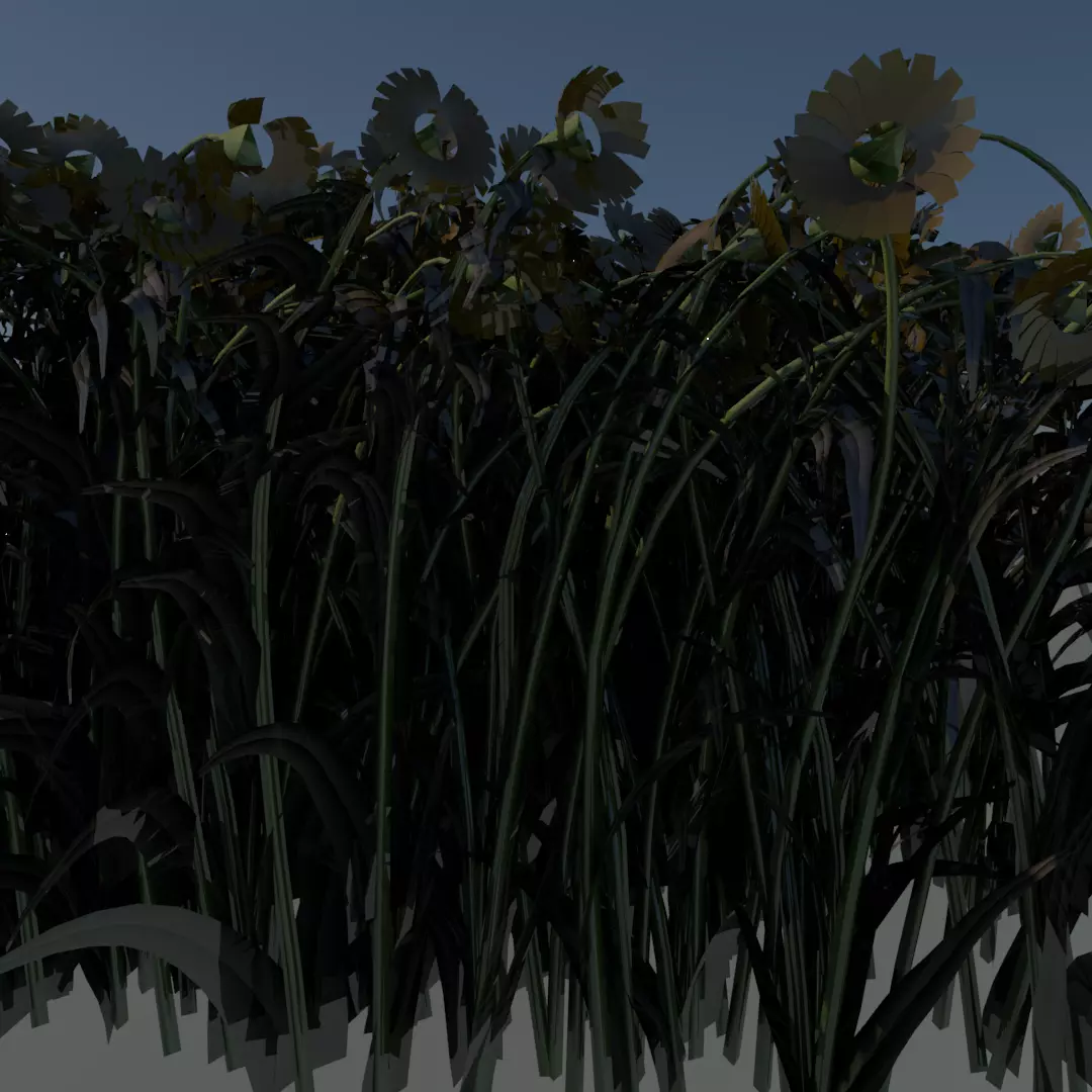 sunflower plants Free 3D model