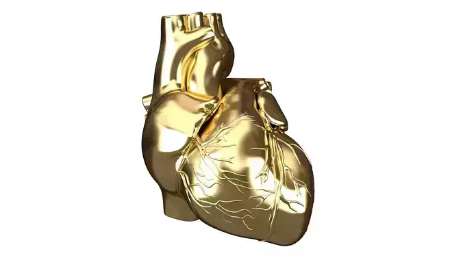 Human Heart Golden