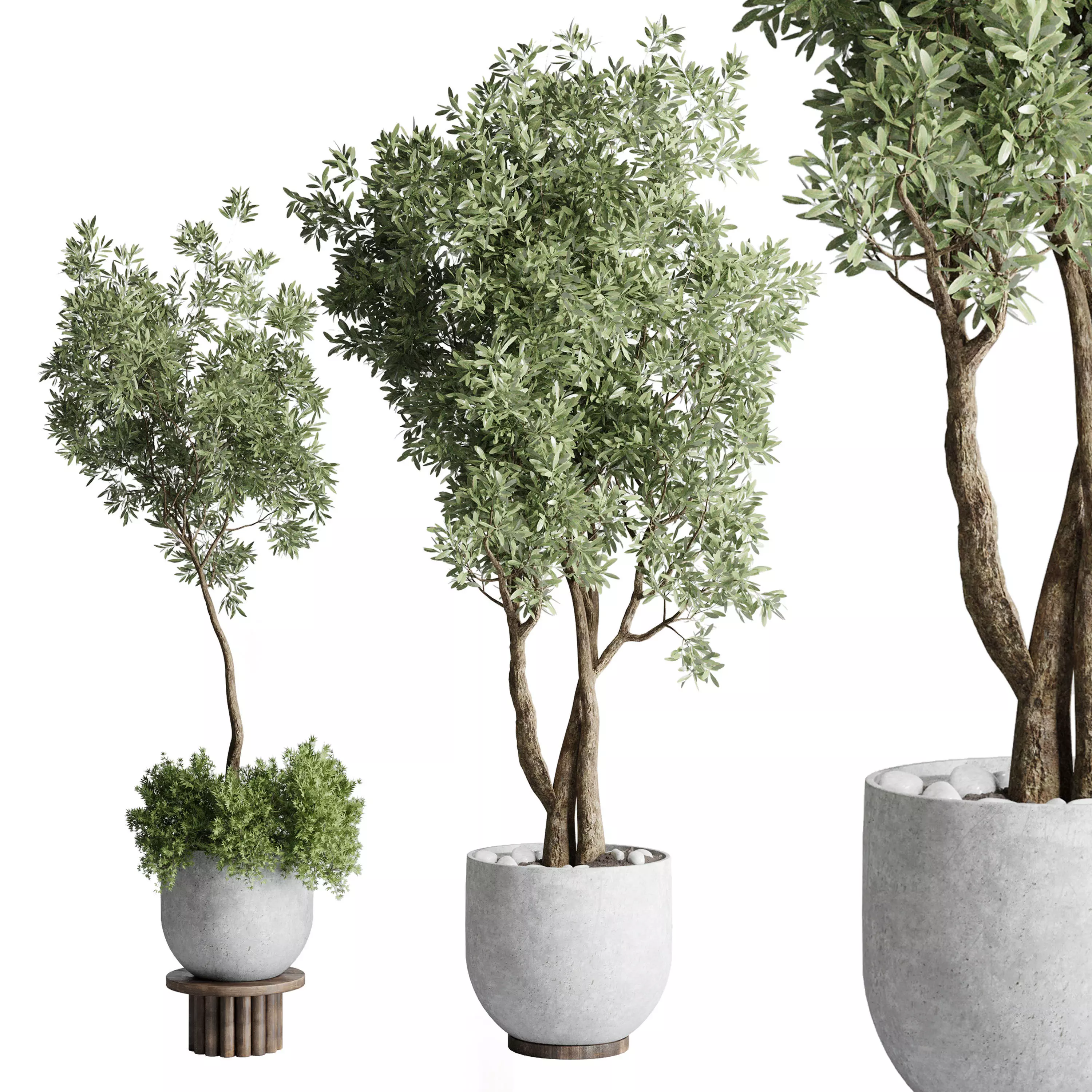 Collection Outdoor Indoor plant 52 concrete dirt vase pot tree 3D model