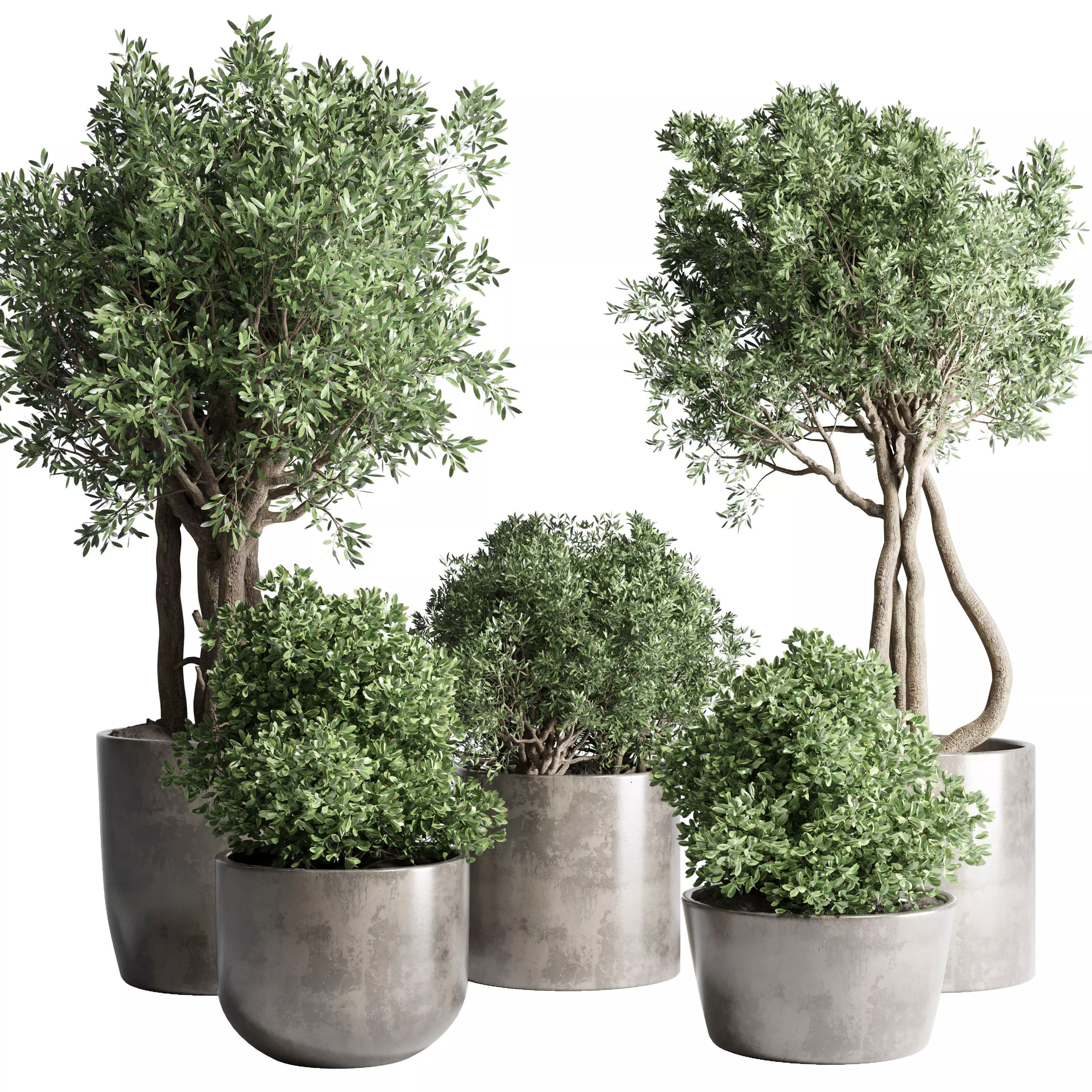 Collection Outdoor Indoor plant concrete dirt vase pot tree bush 3D model