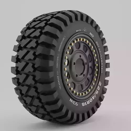 Offroad Tire and Rim