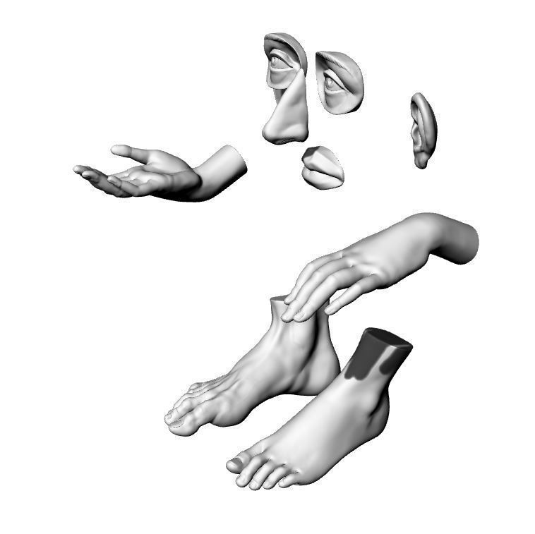 human body parts  3D print model_2