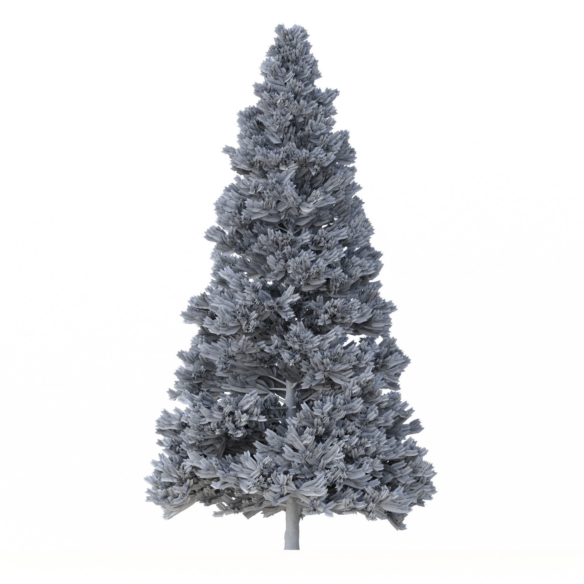 Picea Abies Set 3 - 2 in 1 3D model_11