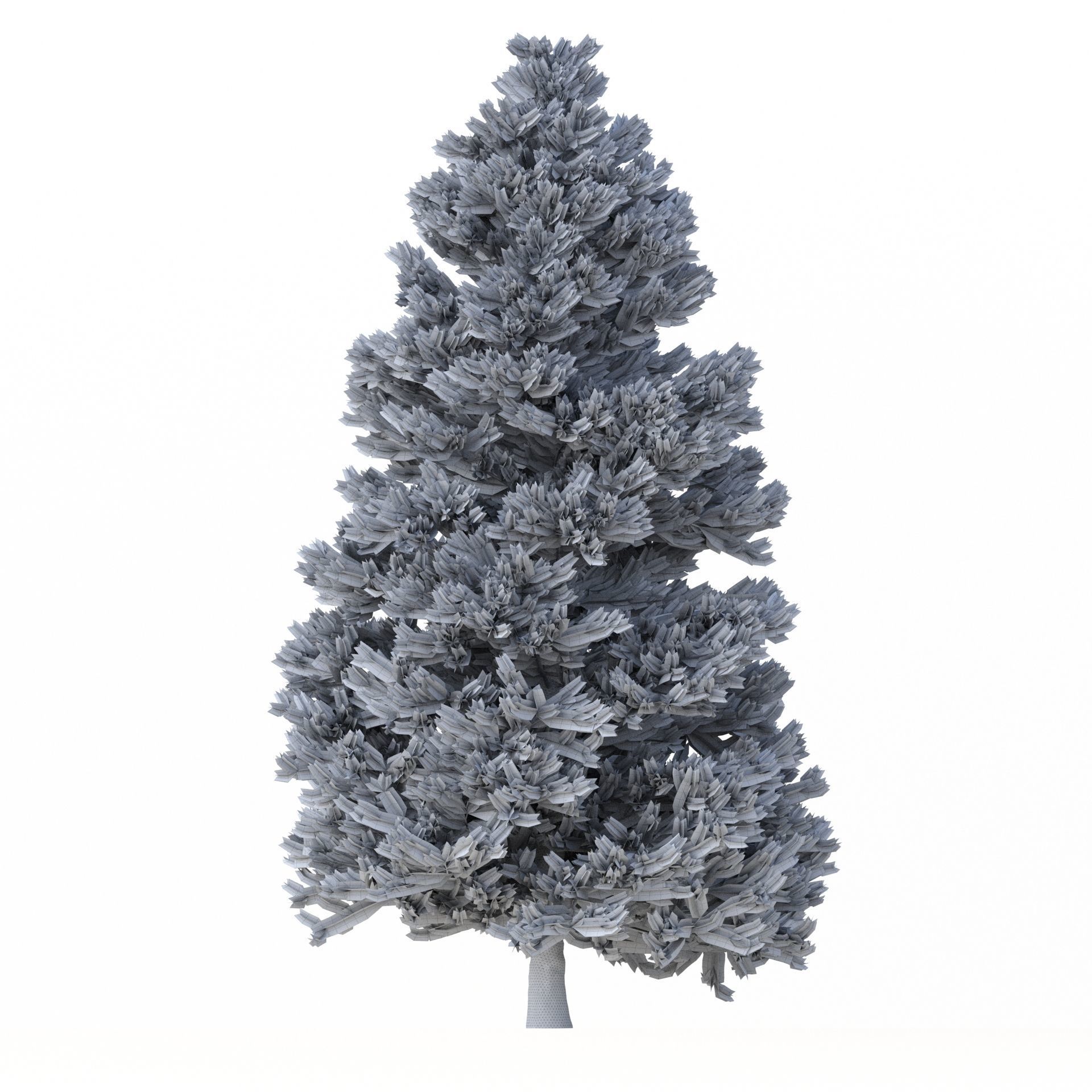 Picea Abies Set 3 - 2 in 1 3D model_10