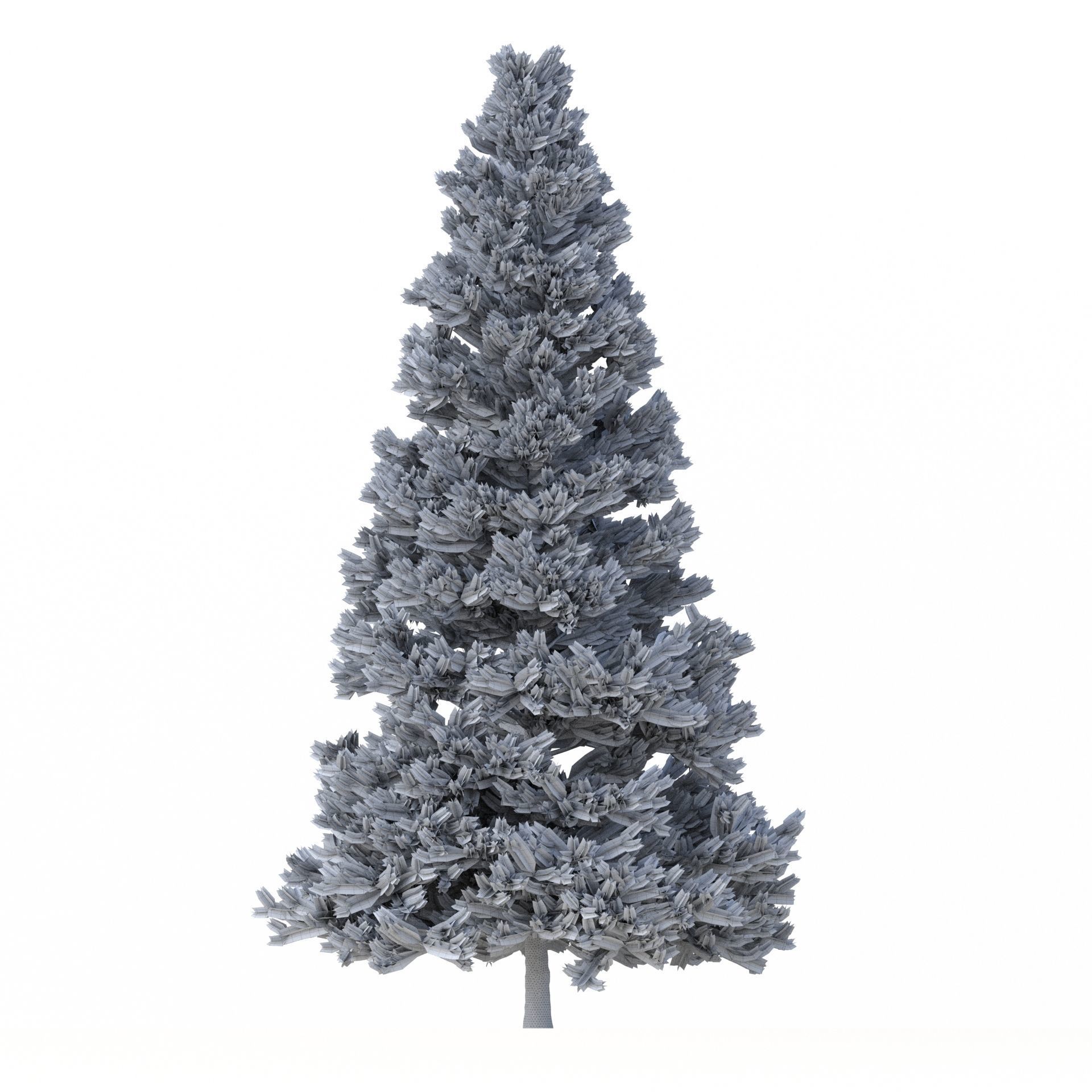 Picea Abies Set 3 - 2 in 1 3D model_9