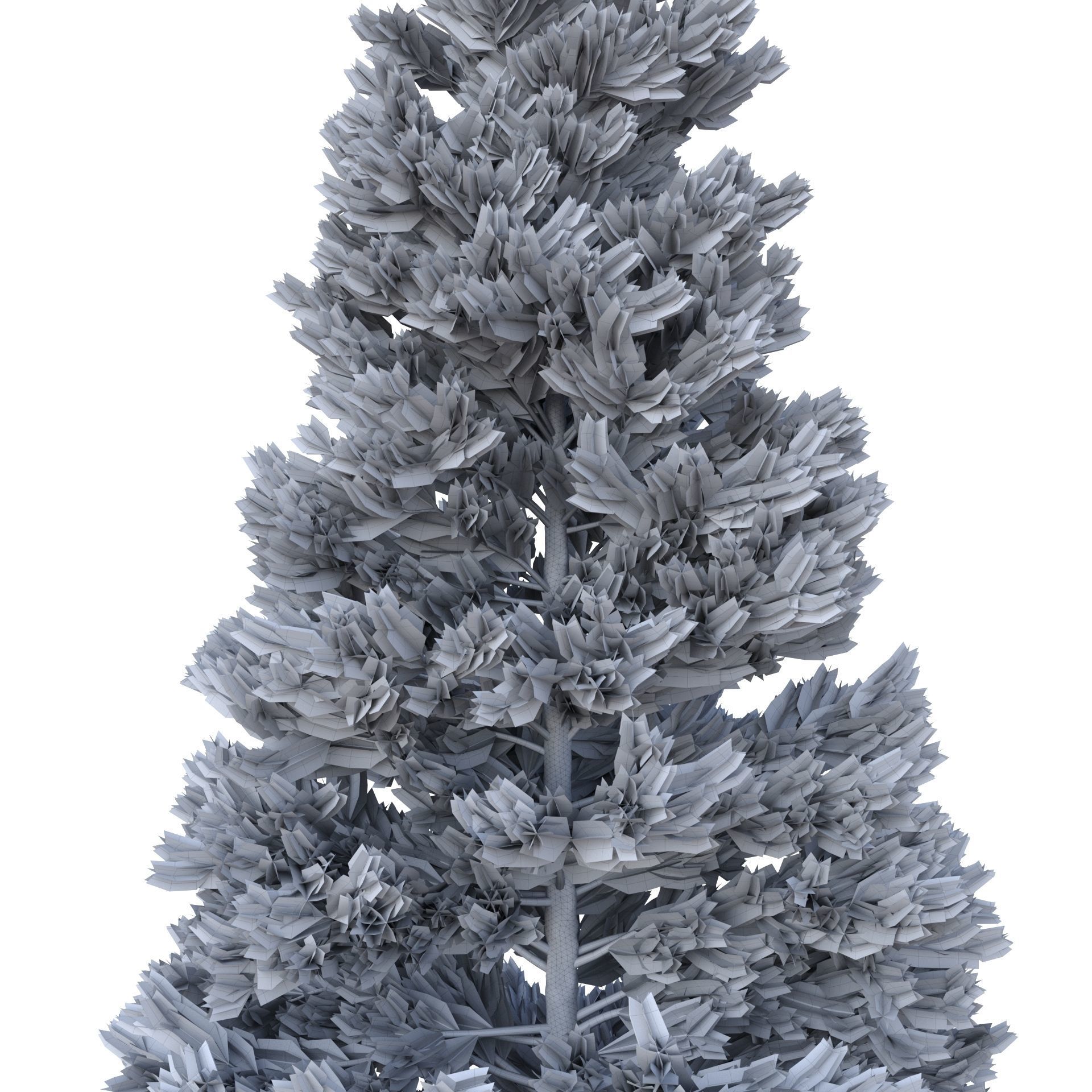 Picea Abies Set 3 - 2 in 1 3D model_15