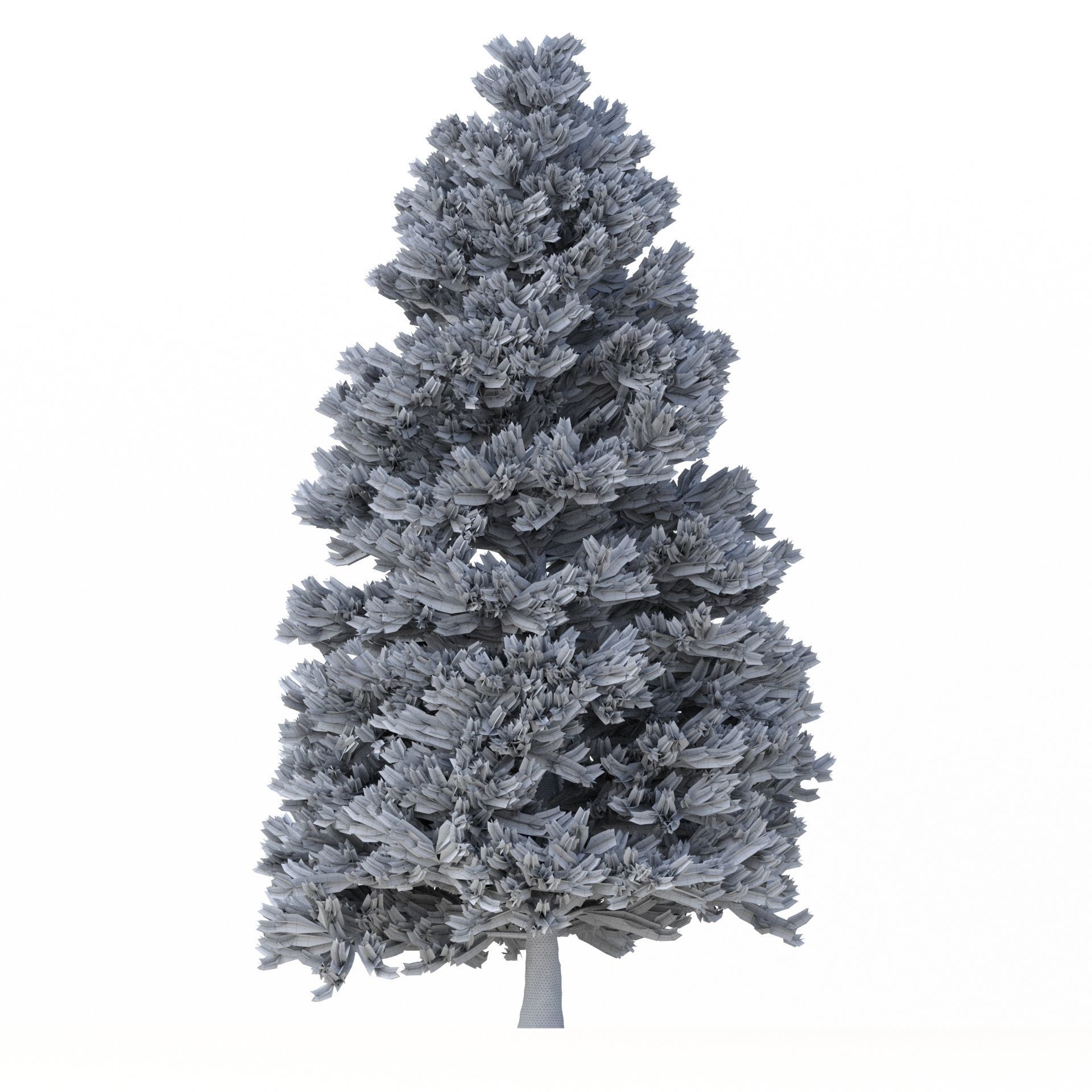 Picea Abies Set 3 - 2 in 1 3D model_14
