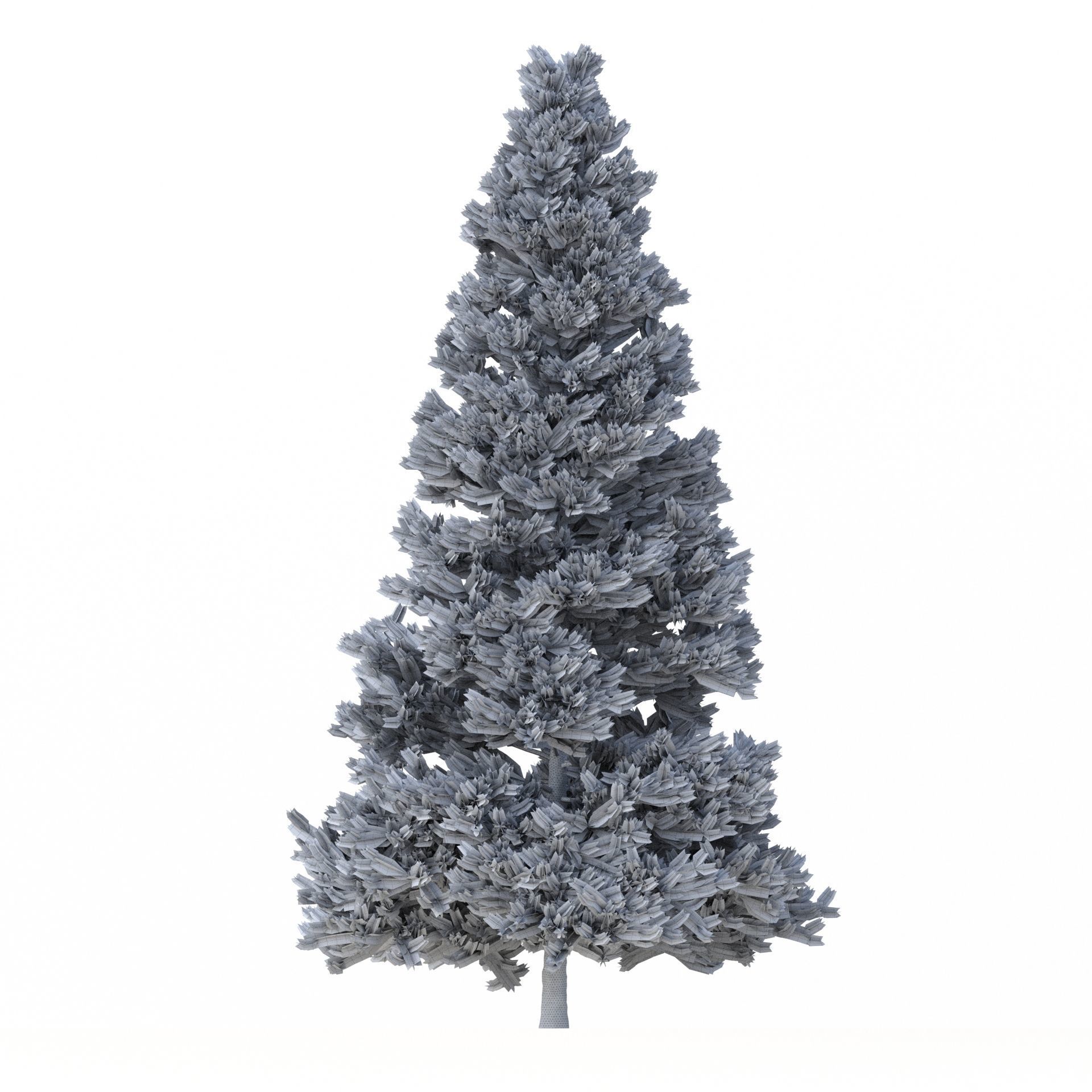 Picea Abies Set 3 - 2 in 1 3D model_13