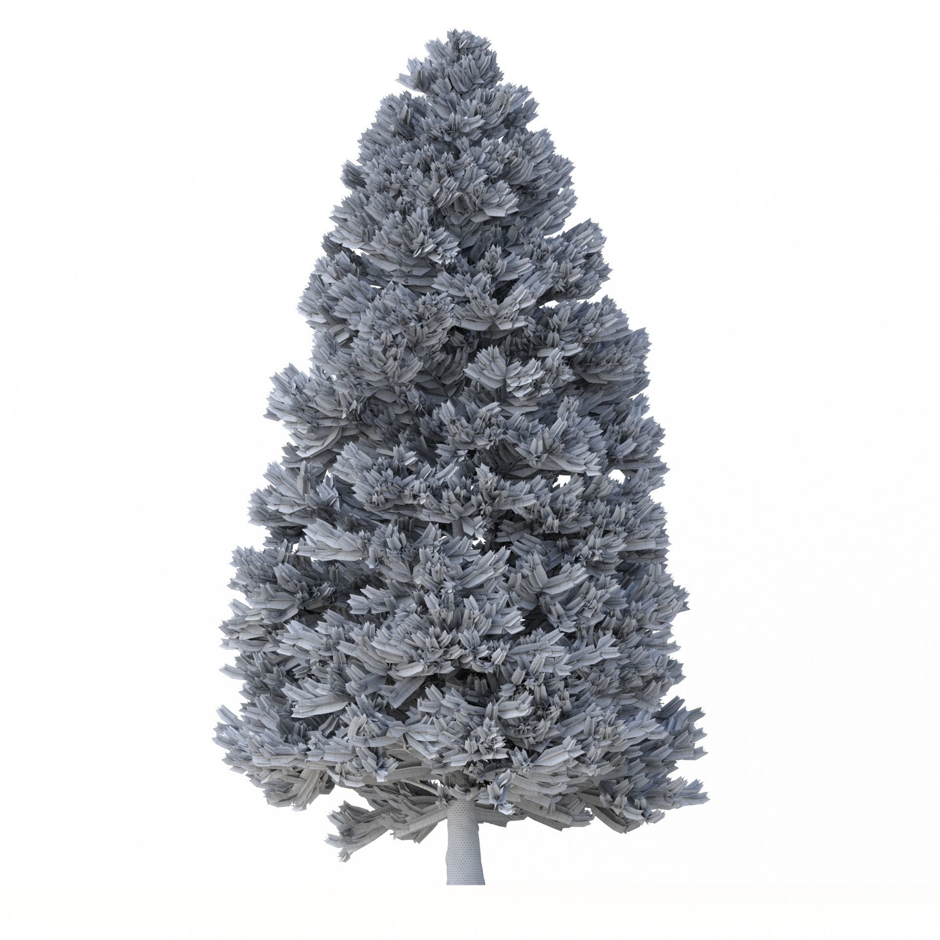 Picea Abies Set 3 - 2 in 1 3D model_12