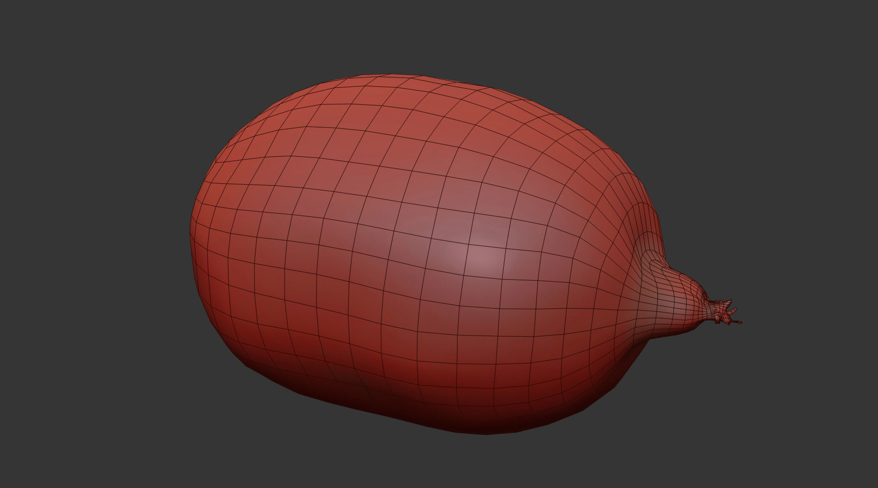 Kiwi  3D model_9