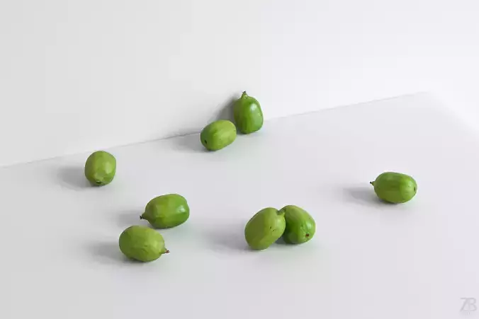 Kiwi  3D model