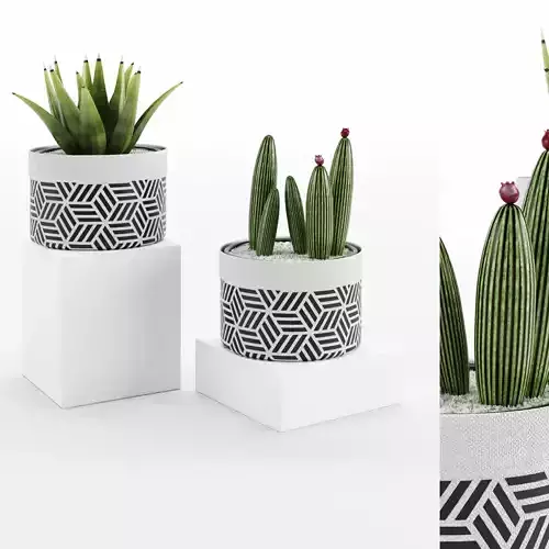 Decorative vase 432  003 3D model