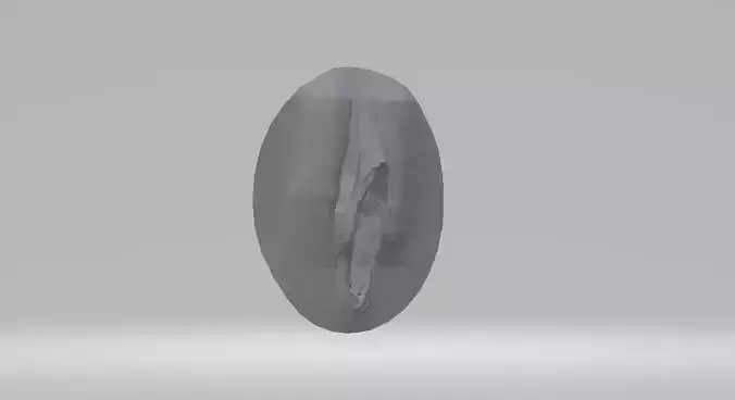real pussy 3D print model