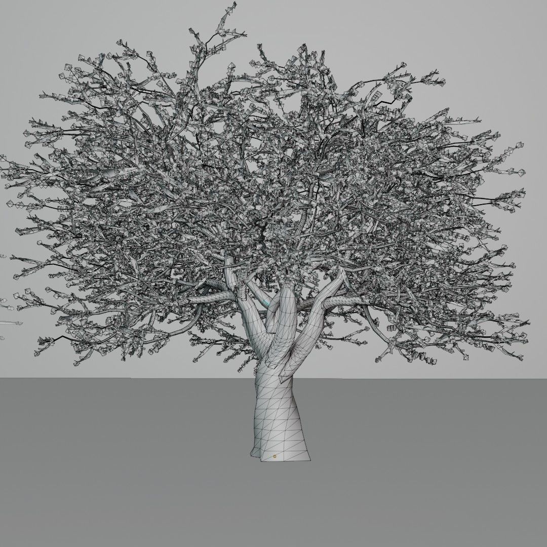 Mid-poly Sakura pack 4 trees Low-poly 3D model_6
