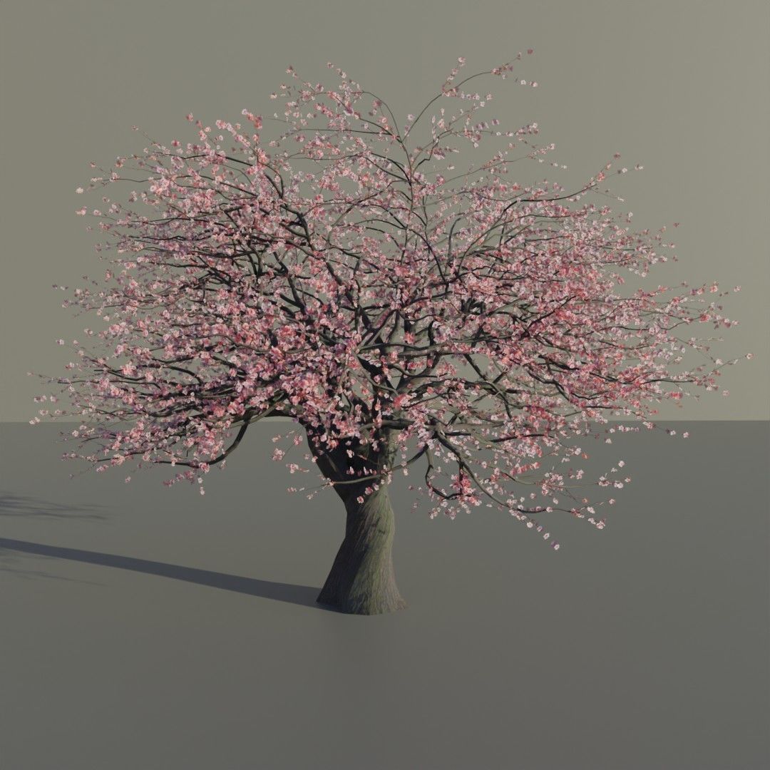 Mid-poly Sakura pack 4 trees Low-poly 3D model_1