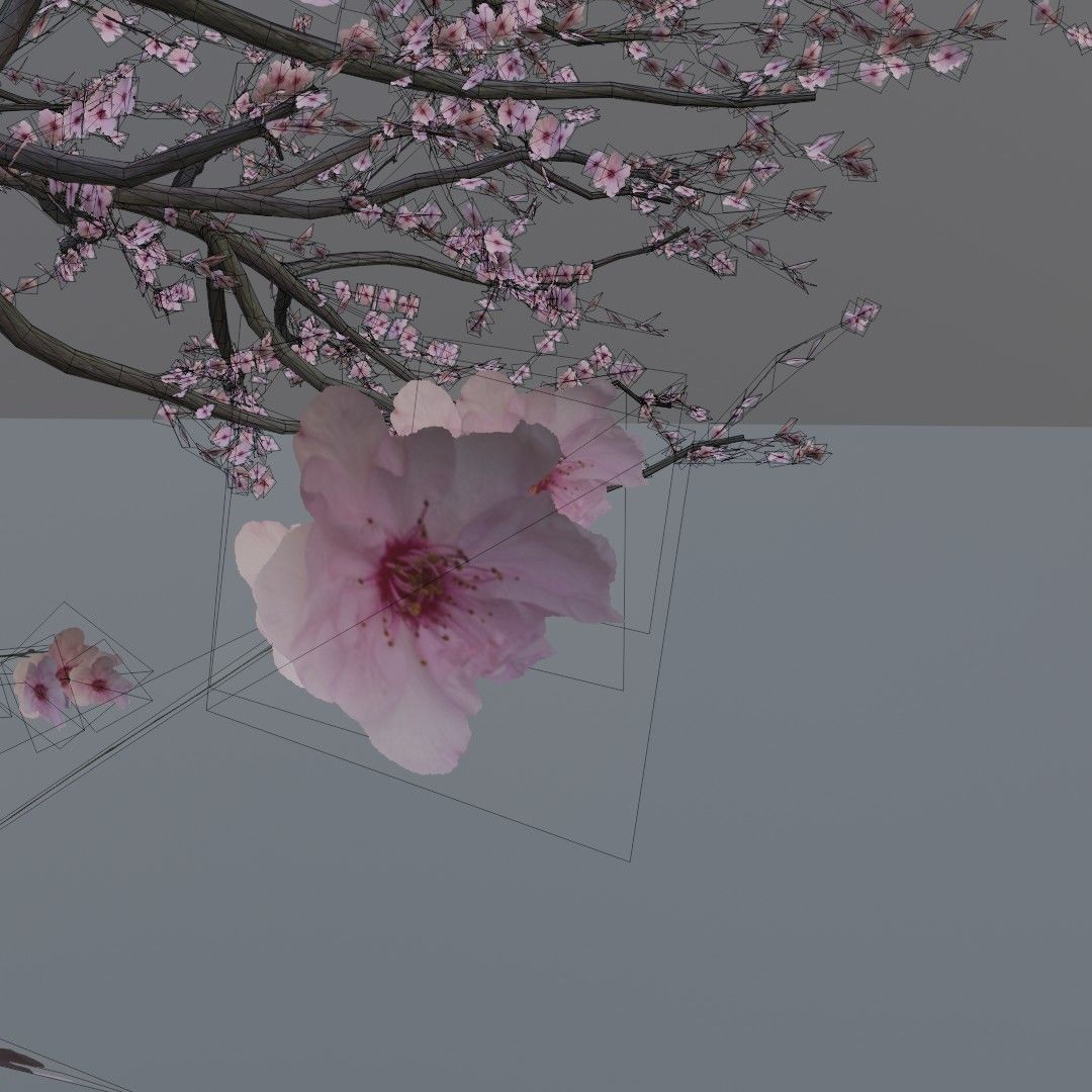 Mid-poly Sakura pack 4 trees Low-poly 3D model_10