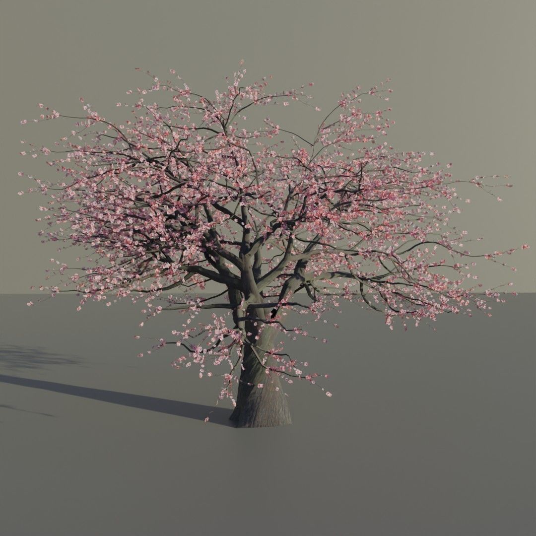 Mid-poly Sakura pack 4 trees Low-poly 3D model_2