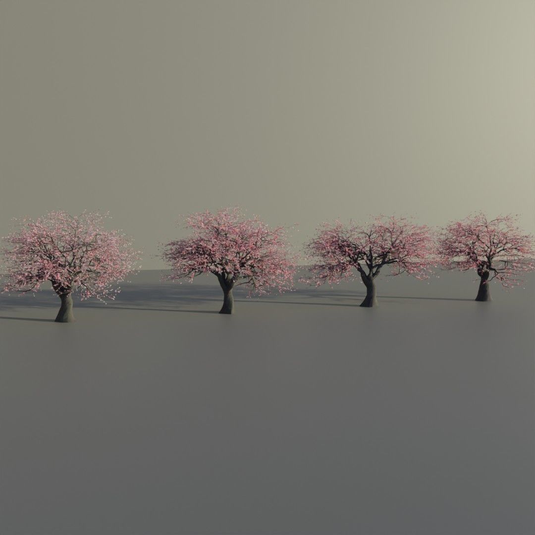 Mid-poly Sakura pack 4 trees Low-poly 3D model_5