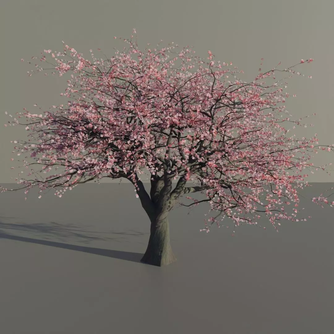 Mid-poly Sakura pack 4 trees Low-poly 3D model_0