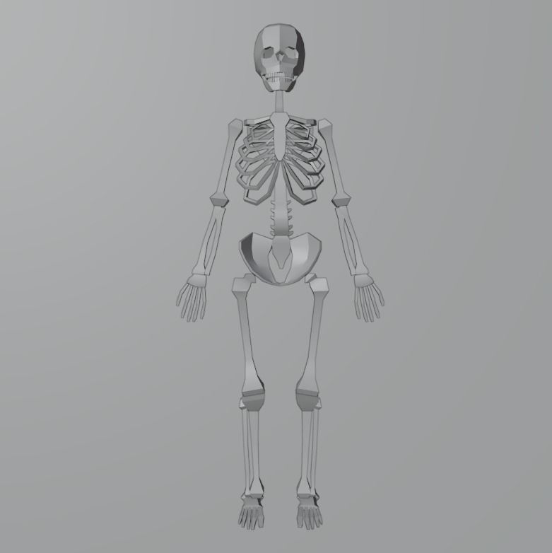 Skeleton human Low-poly 3D model_1