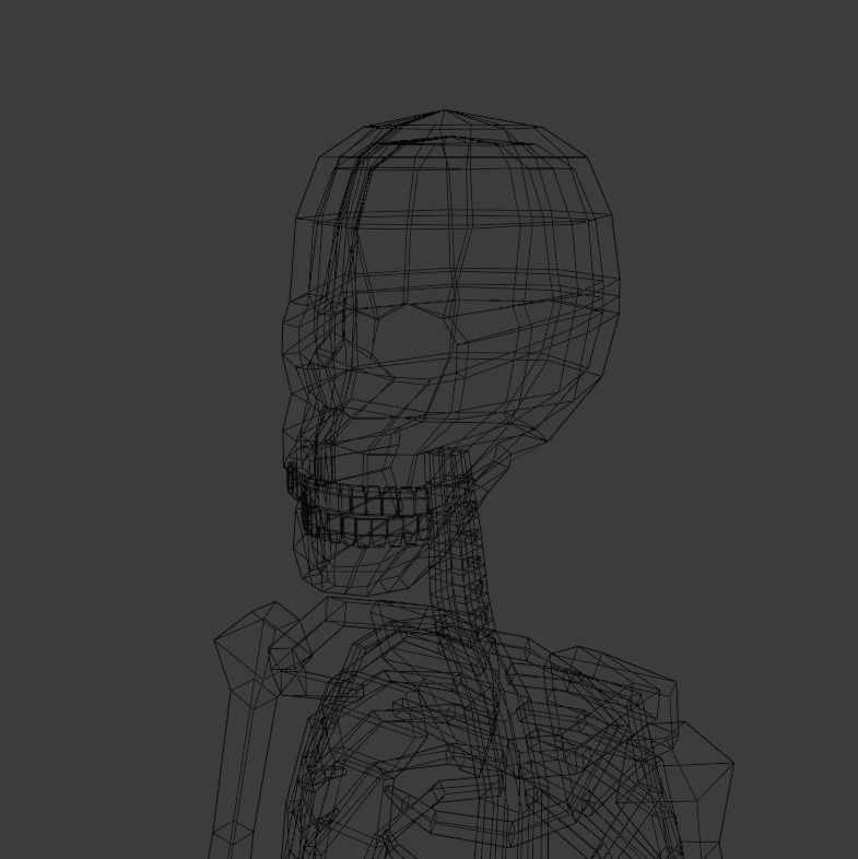 Skeleton human Low-poly 3D model_4