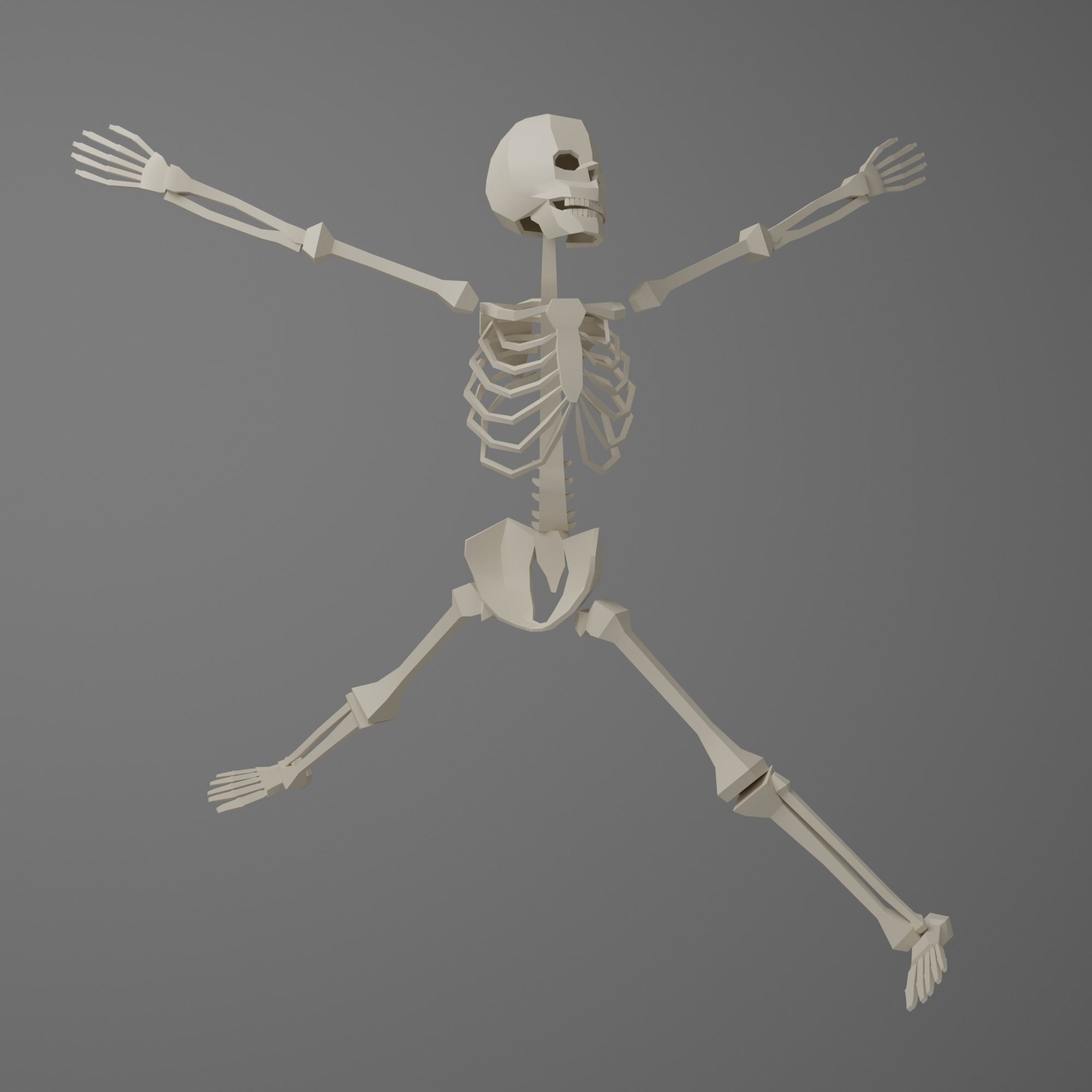 Skeleton human Low-poly 3D model_11