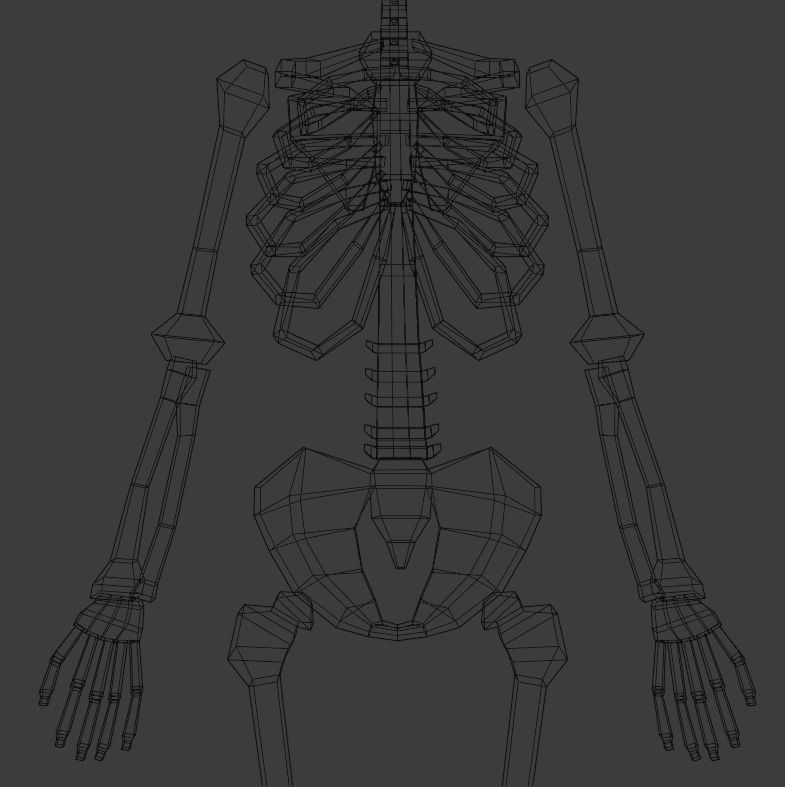 Skeleton human Low-poly 3D model_6