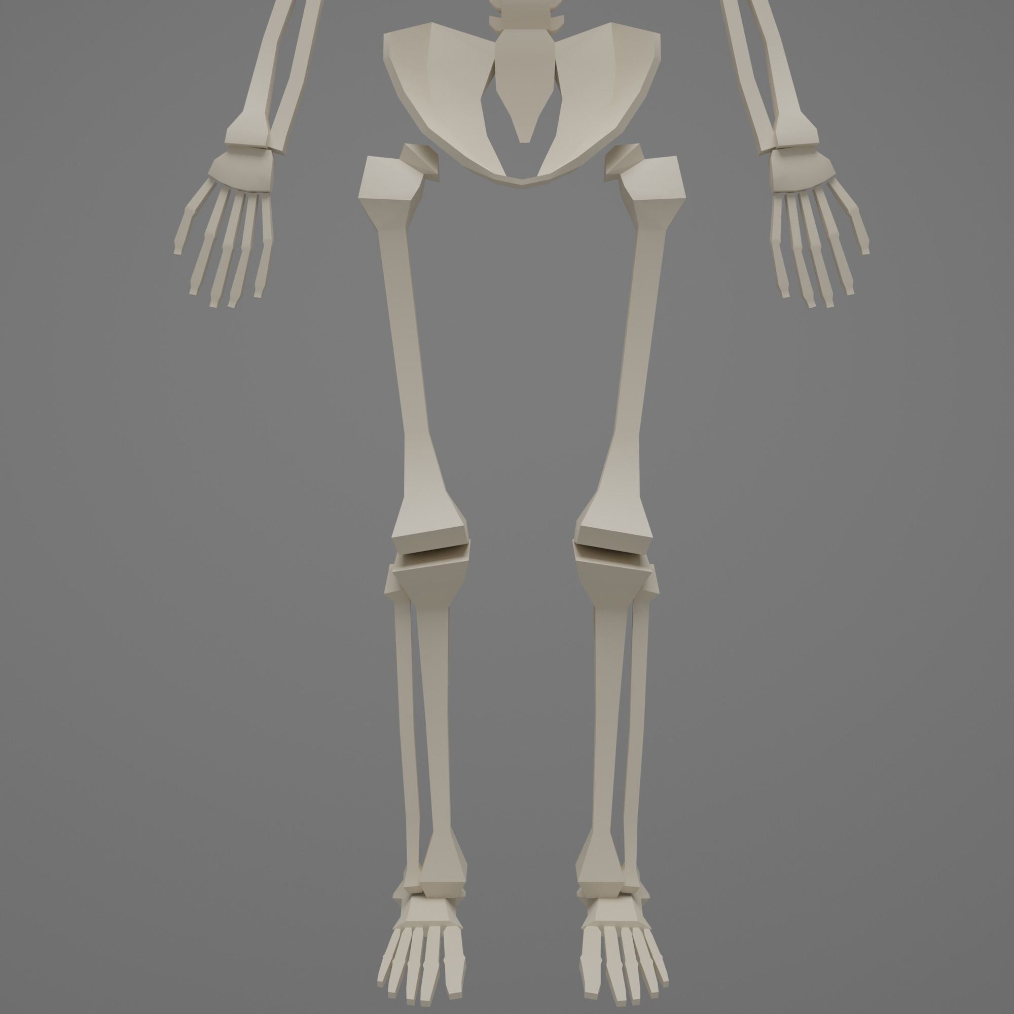 Skeleton human Low-poly 3D model_7