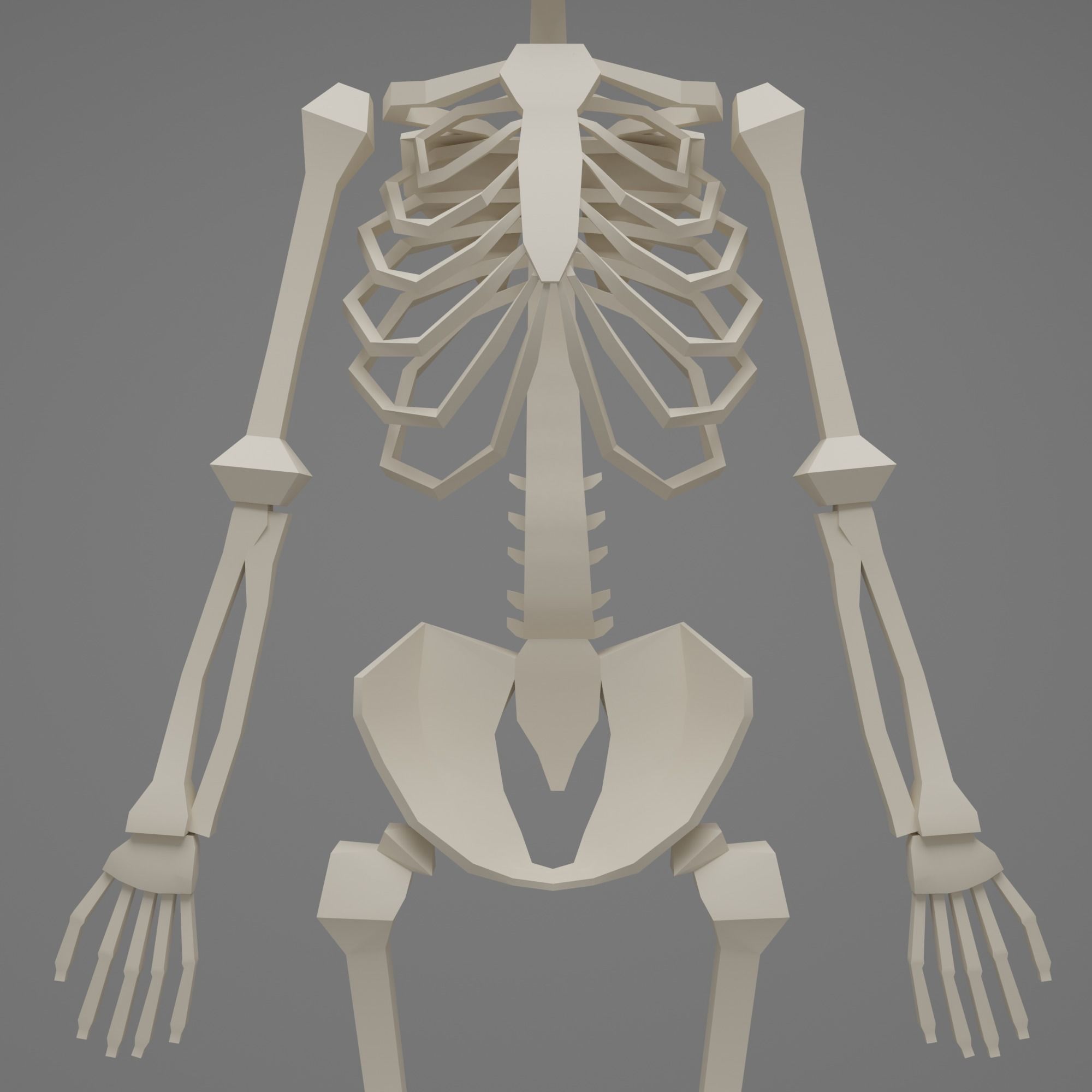 Skeleton human Low-poly 3D model_5