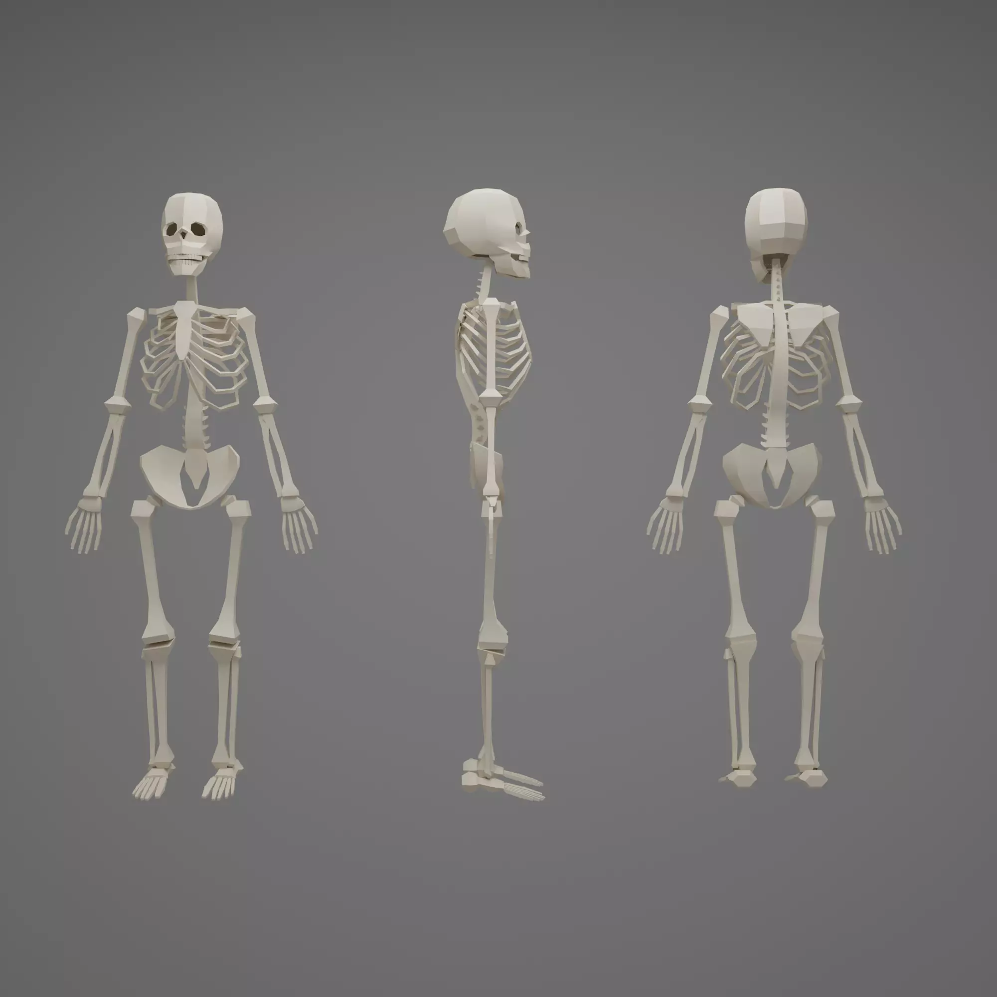 Skeleton human Low-poly 3D model_0