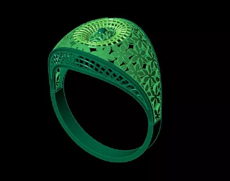 Ring 19 3D print model_0