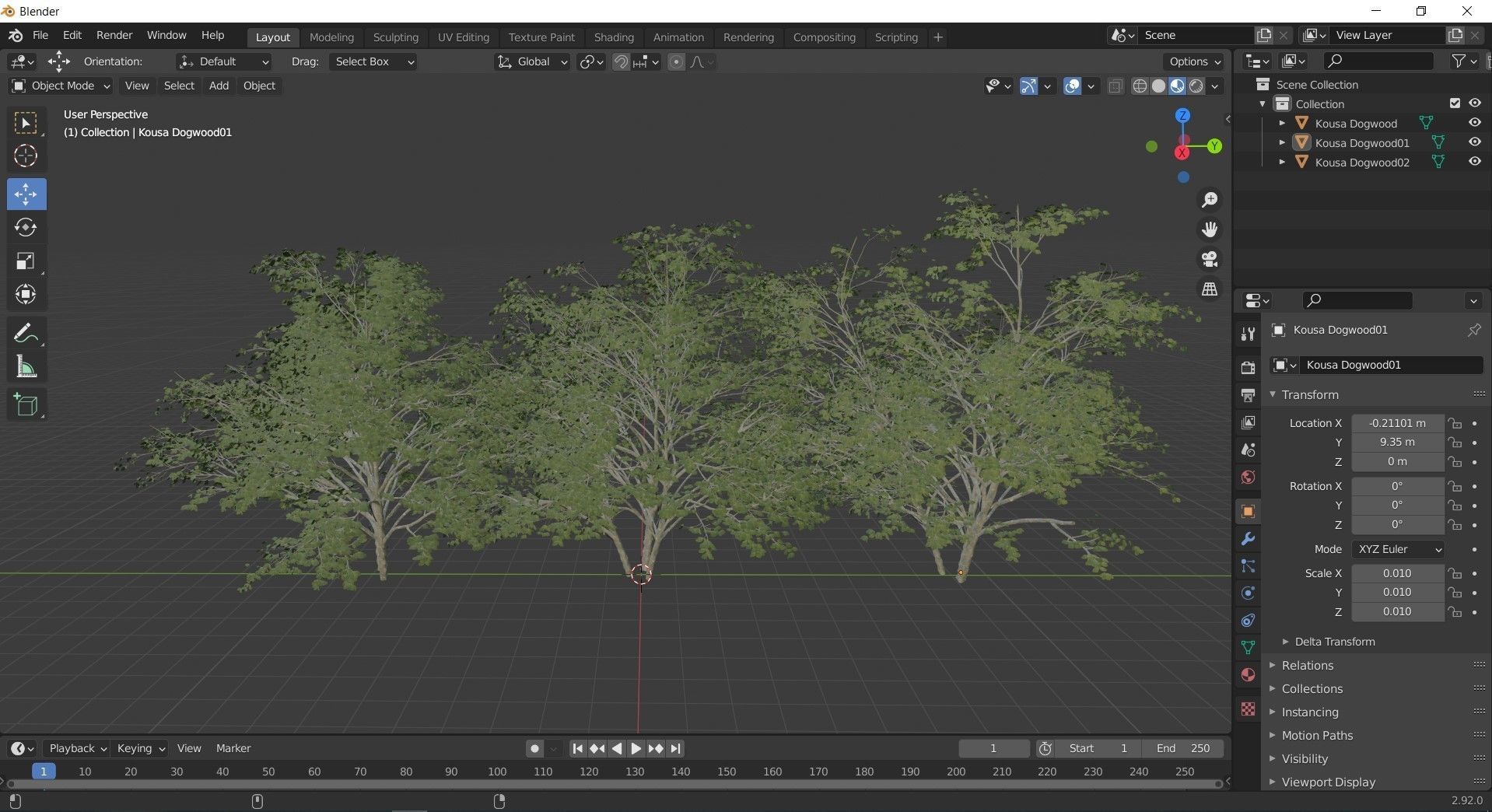 3 diffrent tree Kousa Dogwood 3D model_4