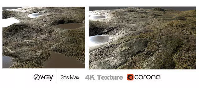Mossy grassland Texture