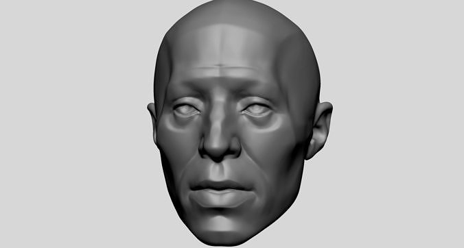 Base Male Head Anatomy 3D print model