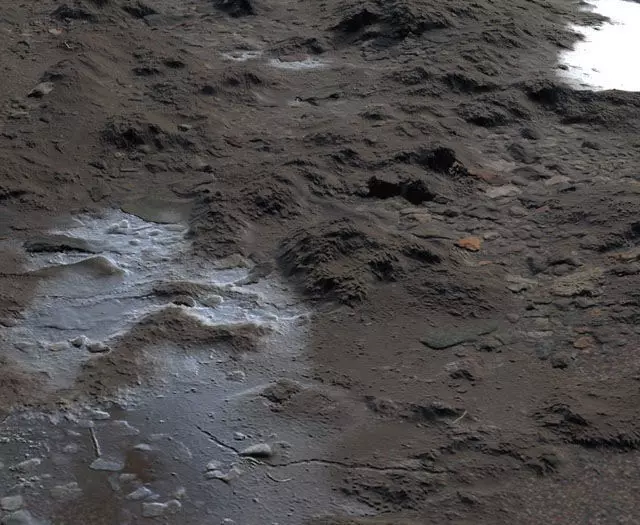 Wet and muddy ground materia Texture