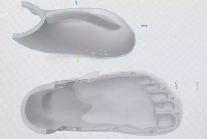 Flat Foot Mold - Silicone Model 3D model
