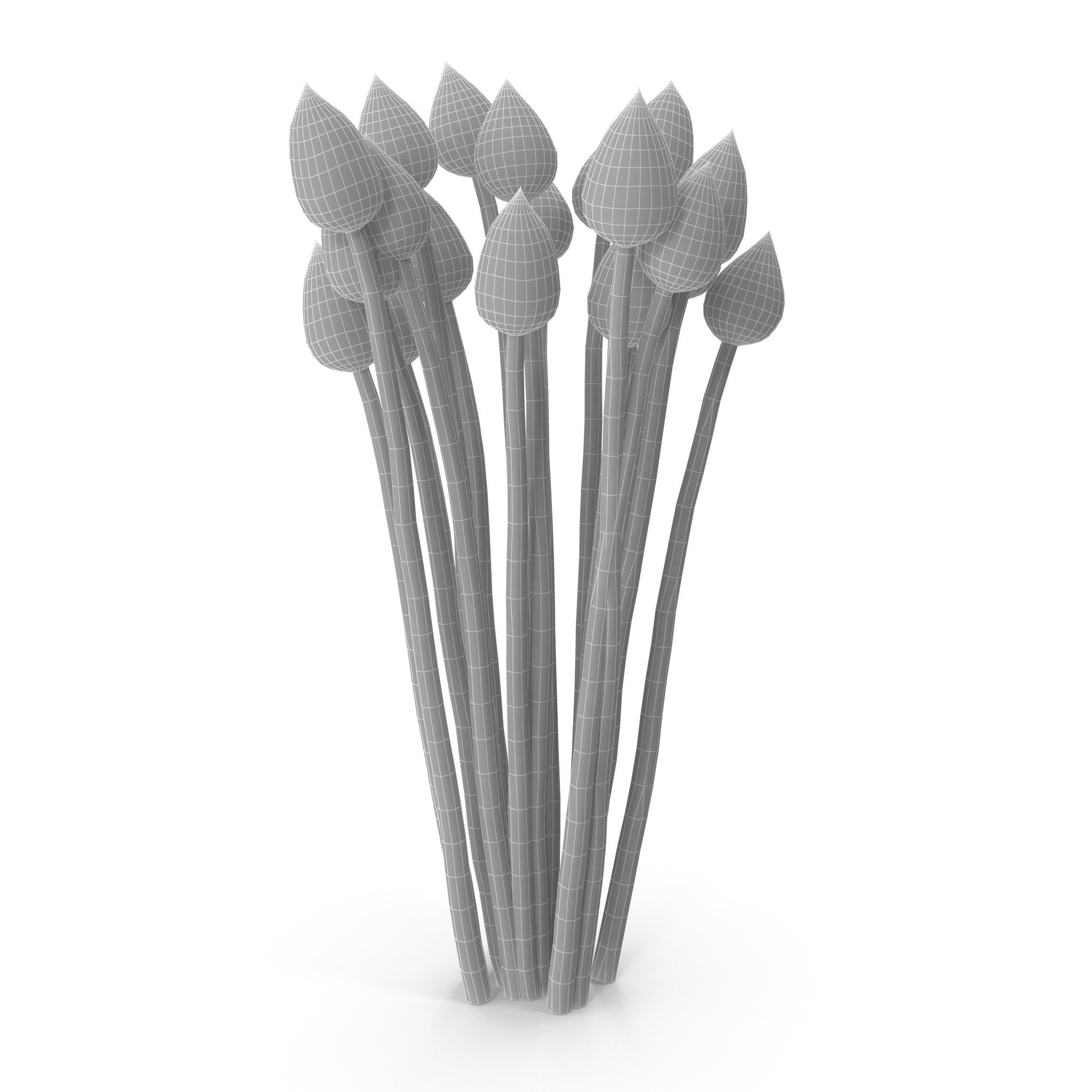 Chives buds 3D model_8
