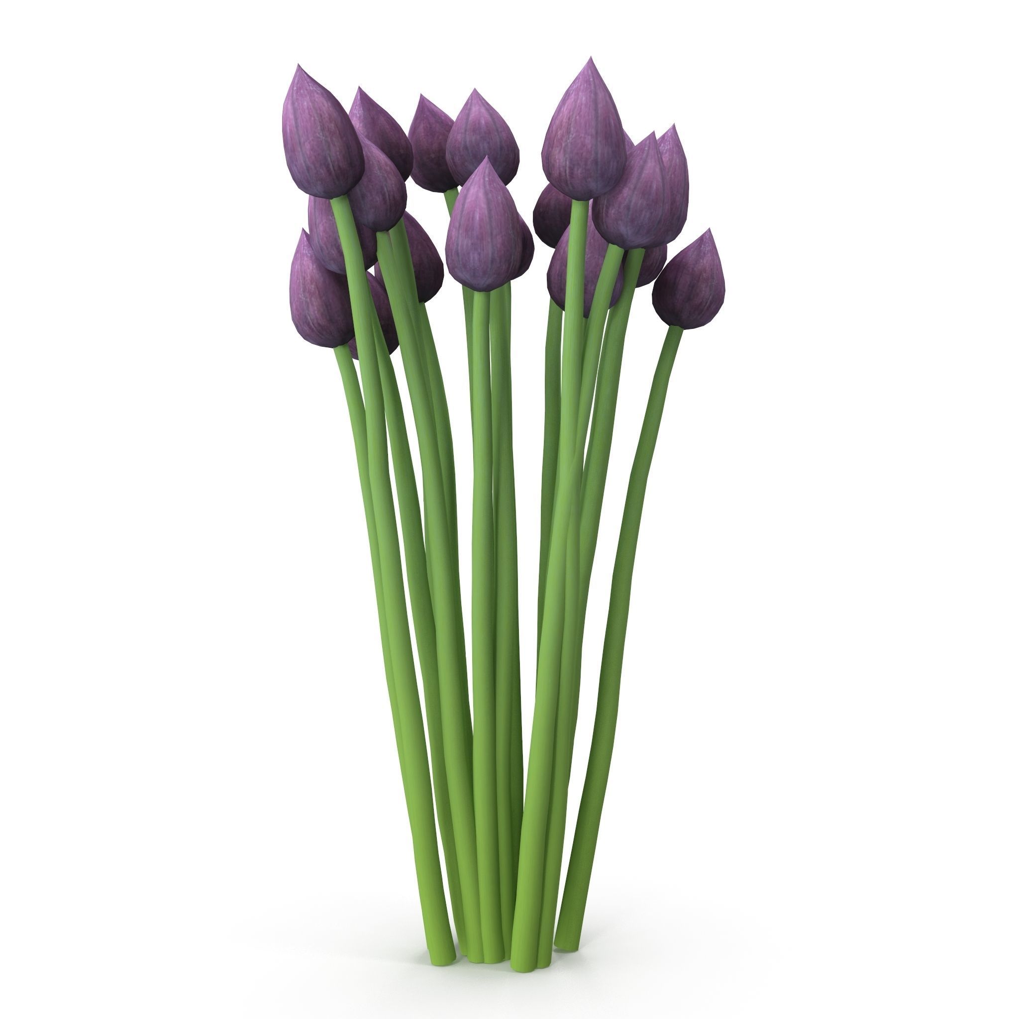 Chives buds 3D model_5