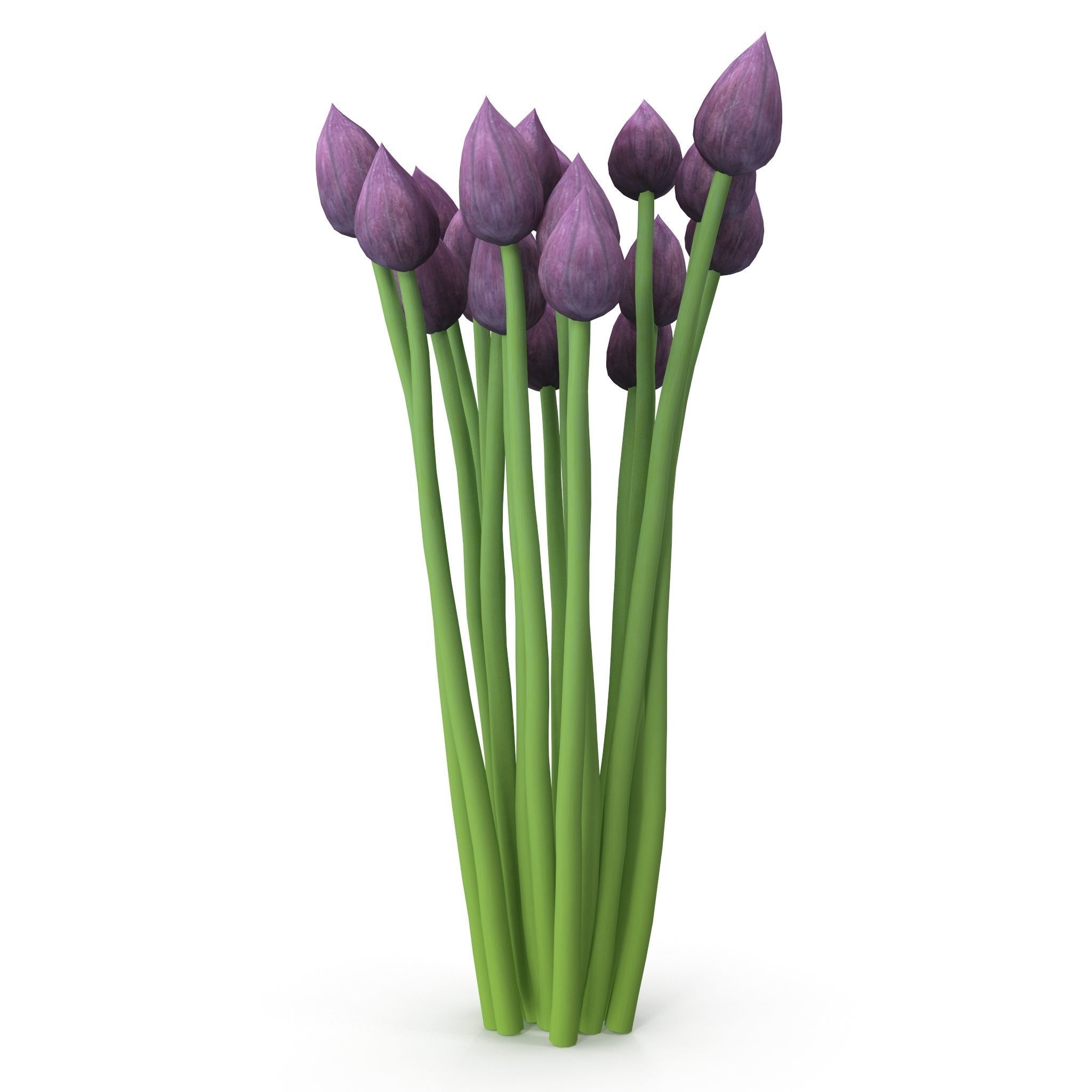 Chives buds 3D model_6