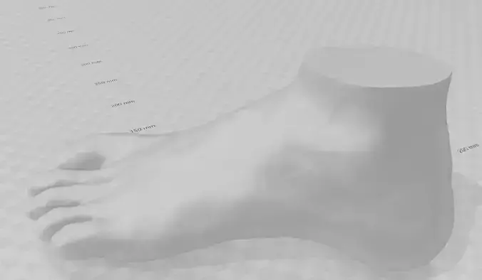 Hollow Foot 3dscanned