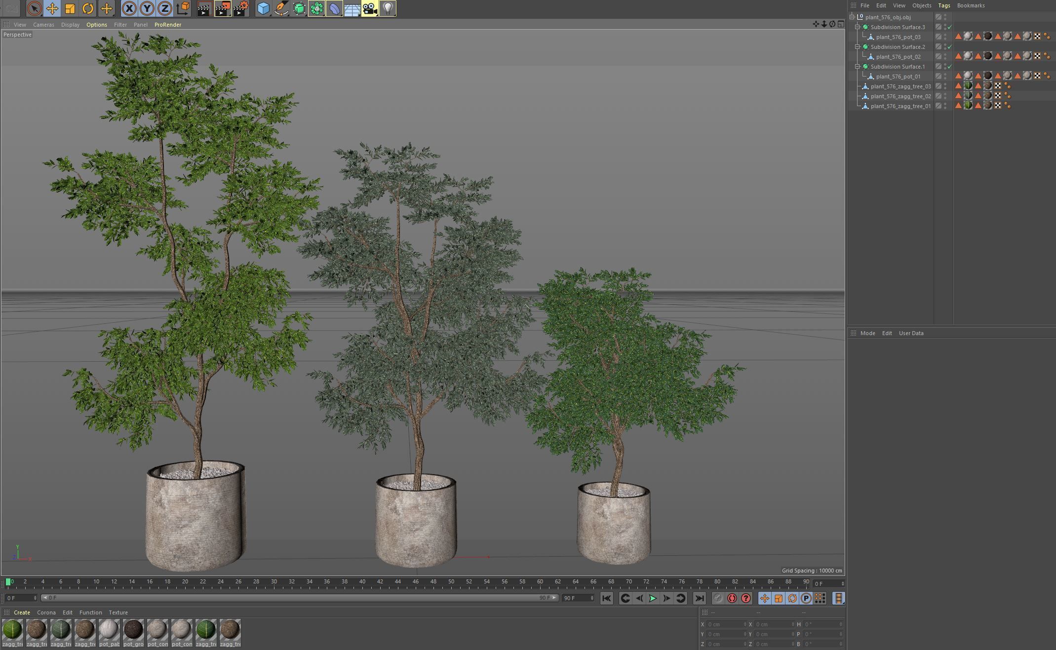 Plants collection 576 3D model_5