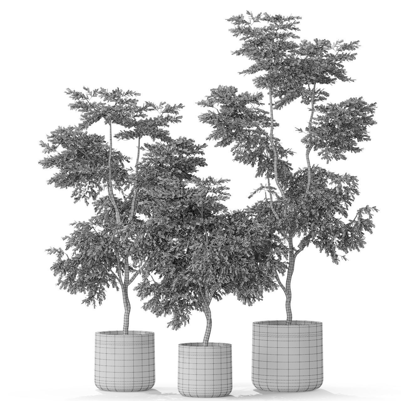 Plants collection 576 3D model_2