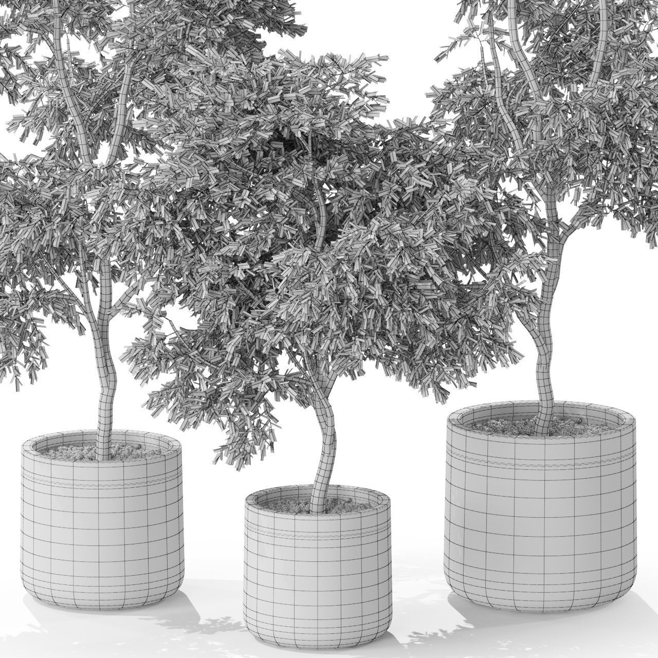 Plants collection 576 3D model_3