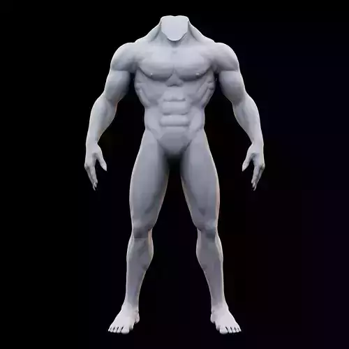 Human Muscular Body