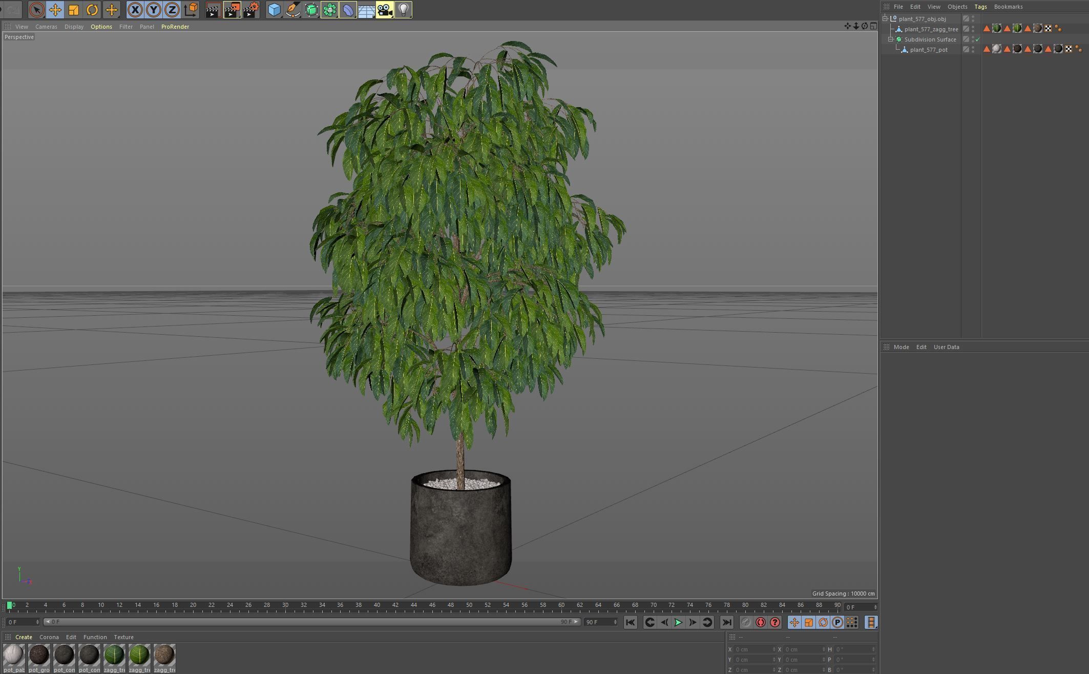 Plants collection 577 3D model_6