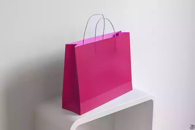 Shopping Bag 3D model