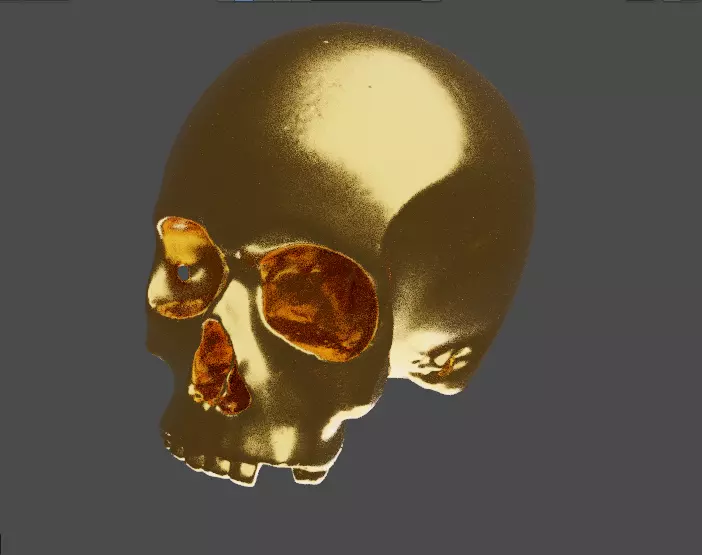 SKULL gold 3D print model
