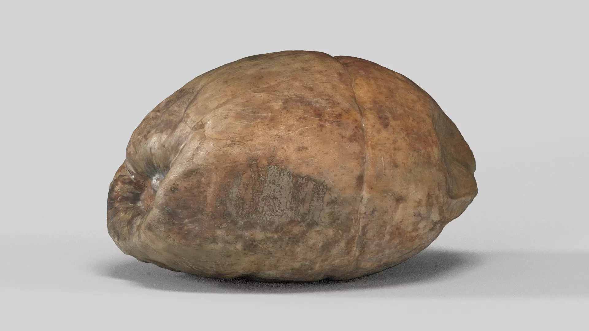 Coconut Dry Low-poly 3D model