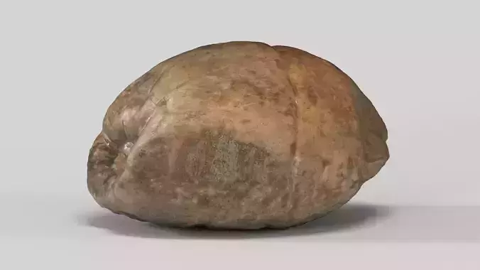  Coconut Dry Low-poly 3D model